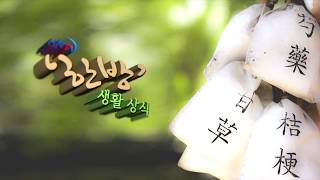 [하남티비]한방생활상식-사상체질 분별법(체형사상)