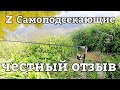 ОТЗЫВ о САМОПОДСЕКАЮЩИХ удочках после 2-х лет использования.