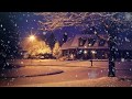 冬の夜(Fuyu no yoru~Guitar Solo) ジョアン杉田、編曲・演奏