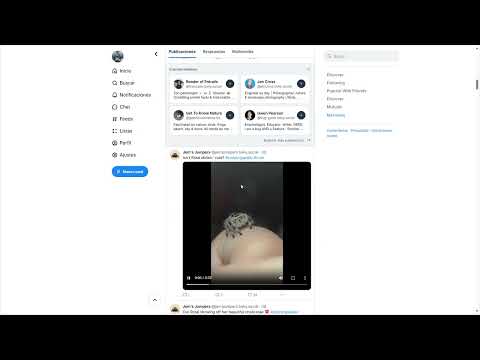 Bluesky Better Video and Volume controls video preview 2