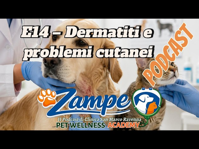 Dermatiti nel Cane e nel Gatto: allergie o problemi della pelle? | Zampe Ep. 14
