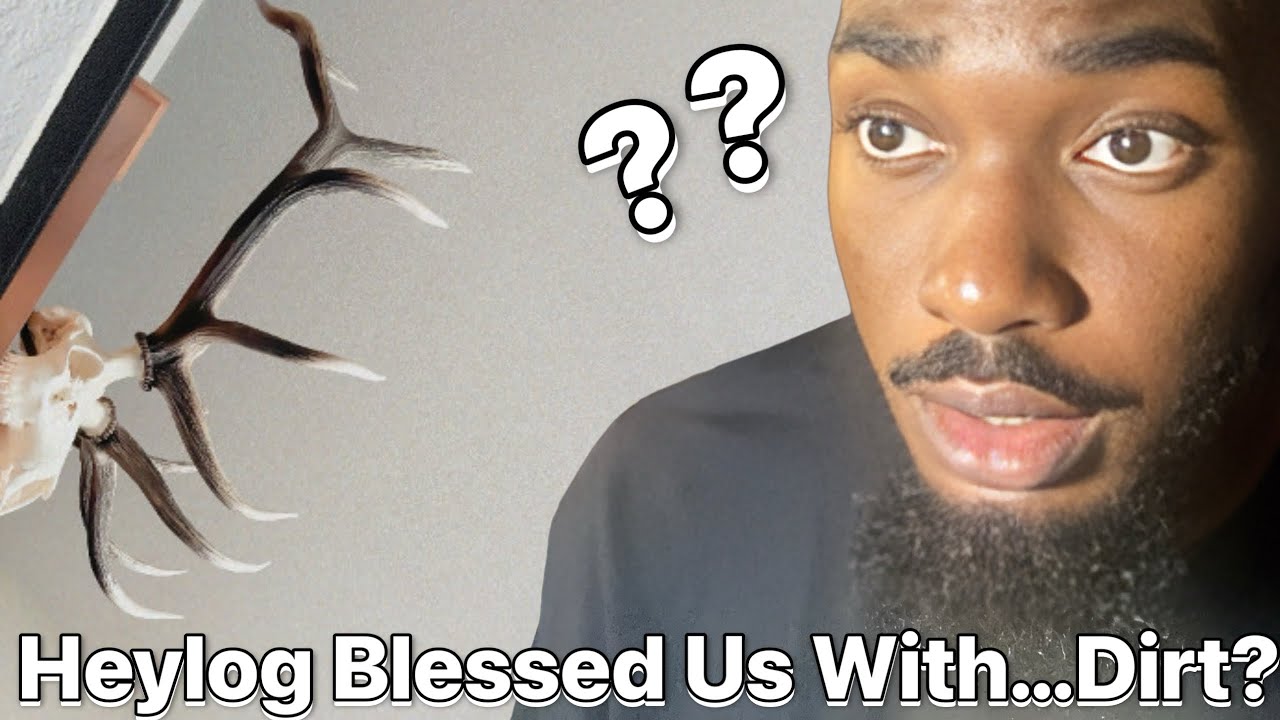 Heylog Moving Like This?? 😳😮‍💨 | Heylog - Dirt FULL REACTION + Breakdown!