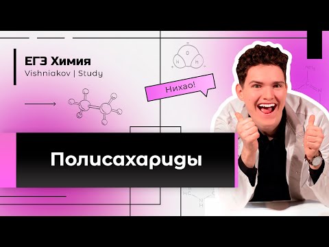 ЕГЭ Химия | ПОЛИСАХАРИДЫ
