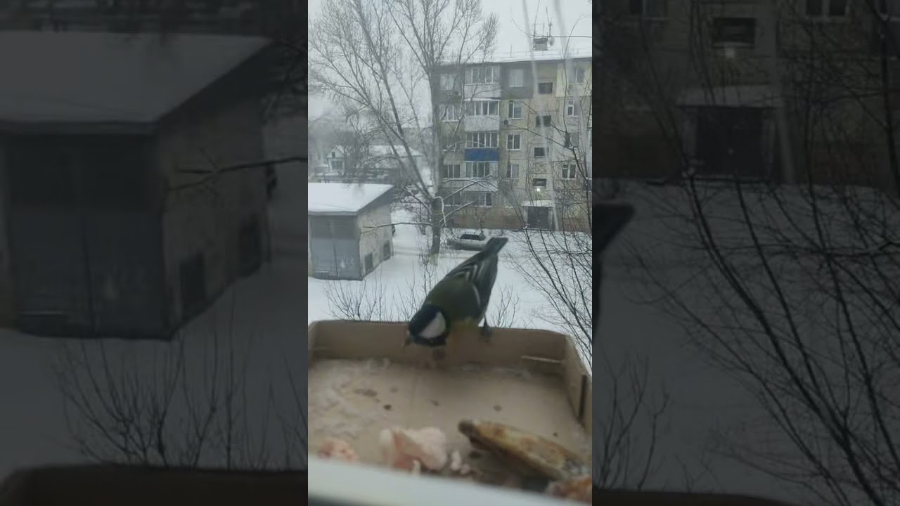 #уральскновости