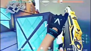 WTF Edit