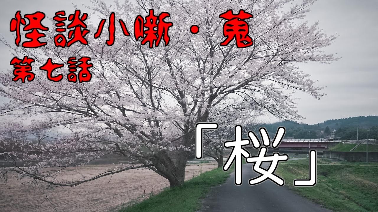 桜の木の下に埋まっているのは…【怪談小噺・蒐/桜】