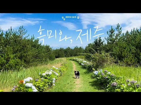 🌊흑미와 제주 여행 | 입추 편 thumbnail