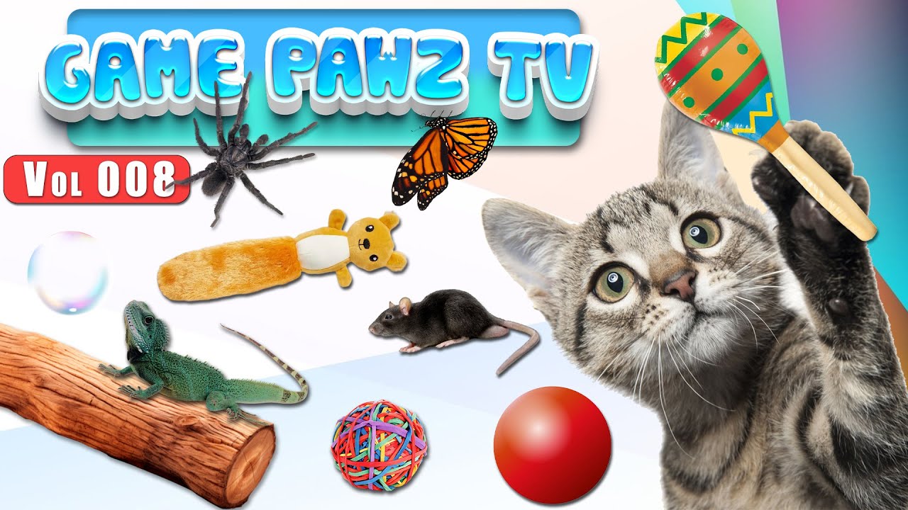 Cat TV for Cats 🐾 | Real-Style Cat Games with Birds, Lizards & Mouse | 4K60FPS