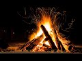 Sounds of a campfire in the night forest - deep sleep in 5 minutes