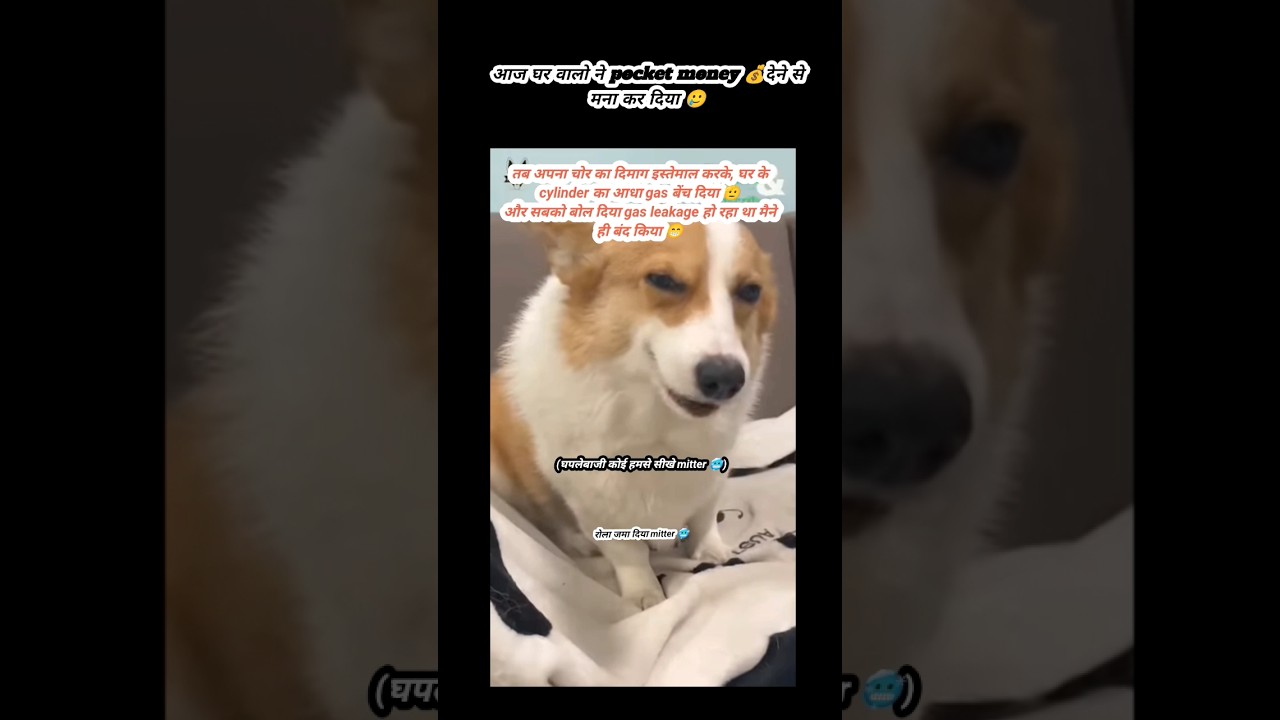 Dogesh भाई घपलेबाज 😎|Dogesh meme  