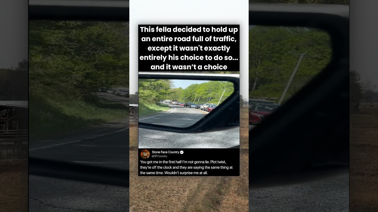 This fella decided to hold up an entire road full of traffic, except it wasn't exactly entirely his
