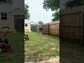 Fence almost fell down!!! Pressure washing after five years 