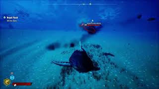 Maneater - Apex Great White