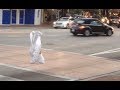 Bag Going For A Walk - YouTube