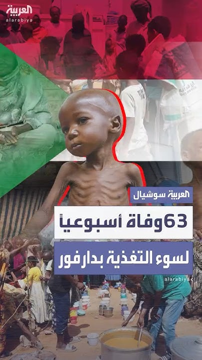   63      
 - نشر قبل 5 ساعة