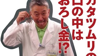 びっくり! カタツムリの歯! 広東住血線虫 検索動画23 びっくり! カタツムリの歯! 広東住血線虫 検索動画 23