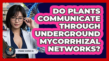 Do Plants Communicate Through Underground Mycorrhizal Networks? - Strange Science HQ