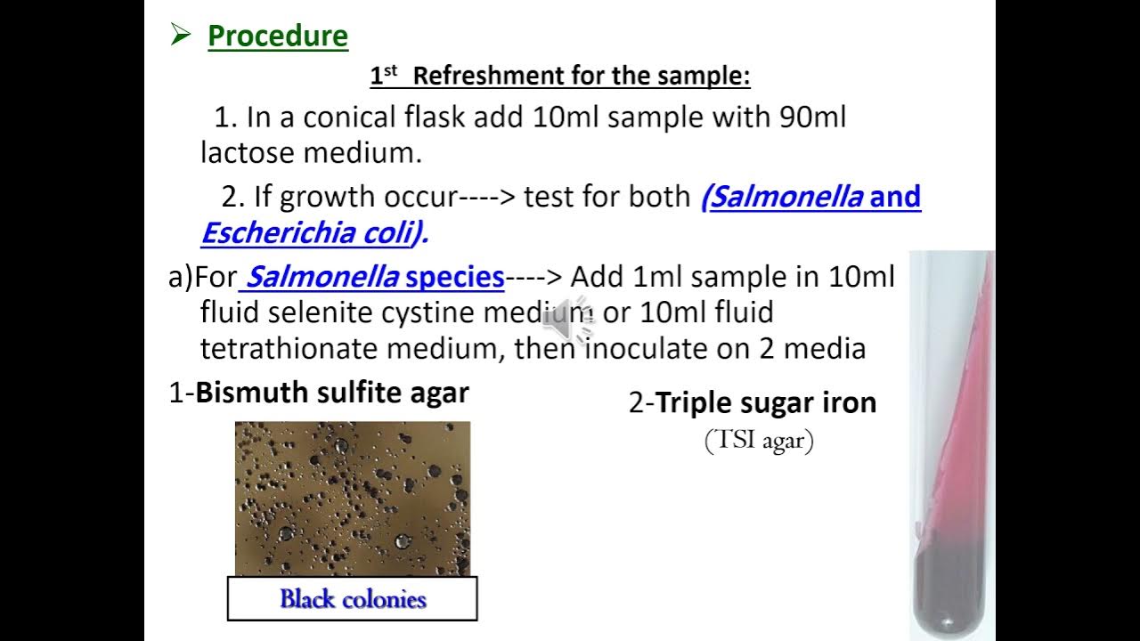 section 2 Microbial Limit Test YouTube
