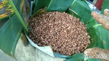 part 2: 48-96 hours fermentation using basket/ 2nd turning..