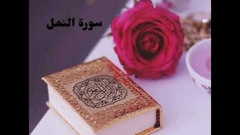 تلاوة سوره(النمل)بصوت مبدع القارئ رعد محمد الكردي ❤