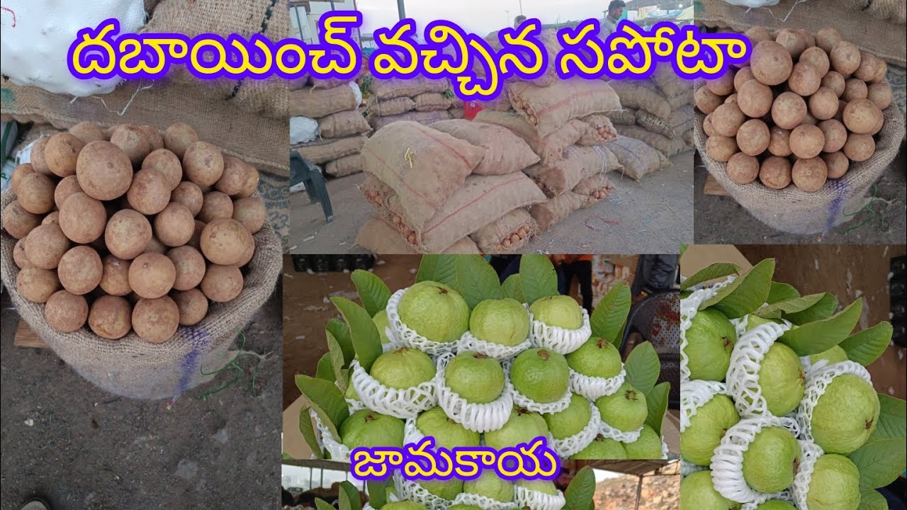 #today #batasingaram ఫ్రూట్ మార్కెట్ #telangana #guavafruit #like - YouTube
