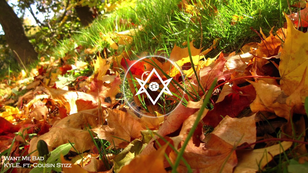 KYLE. ft. Cousin Stizz - Want Me Bad