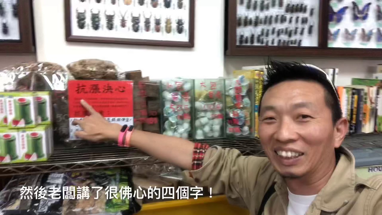 熱血阿傑 ️生態-南投中山公園前甲蟲館insect shop長戟標本Dynastes hercules泰坦大天牛標本Titanus ...