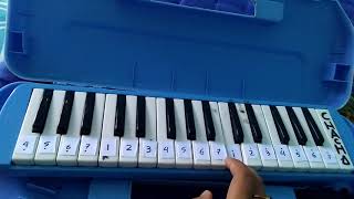 Download Not Angka Pianika Garuda Pancasila Video MP3 Not Angka Pianika Garuda Pancasila