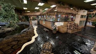 The Reptile Zoo 360° Tour