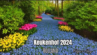 Парк тюльпанов в Голландии# Keukenhof #Holland