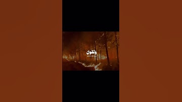 قرآن کریم تلاوات خاشعه. تابعني واكسب الاجر #ماهر_المعيقلي ادریس ابکر #محمداللحيدان #ياسر_الدوسري