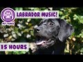 Nouveau musique de thrapie pour animaux de compagnie pour les labradors