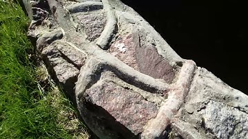 Bluboo S8 1080p video test