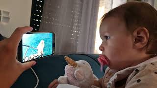 SA KAKVOM PAŽNJOM SE GLEDA NOVI KLIP NA @Sikter Tube !?