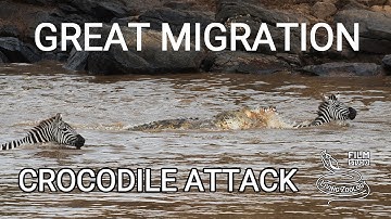 Great migration of wildebeests, Mara river crossing with crocodile attack, wildlife Kenya