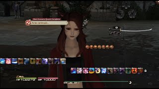 Athlete Statistics FFXIV Mini Guide - HUD Layout, User Interface (UI)...customize it!