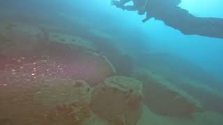 Scuba Diving At Hirasawa, Izu, Shizuoka, Japan Oct 8, 2022