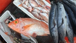 картинка: ВОТ ЧТО Я ПОПАЛ НА МОЕМ НОВОМ МЕСТЕ РЫБАЛКИ