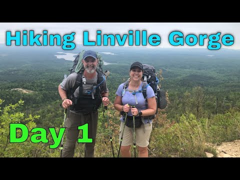 Video: Linville Gorge Wilderness: la guía completa