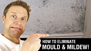 How to Paint over Mould & Mildew
