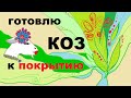 ГОТОВЛЮ КОЗ К ПОКРЫТИЮ