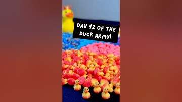 Day 12 of 3D printing a new duck for every new subscriber that joins the Duck Army.
