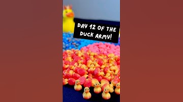 Day 12 of 3D printing a new duck for every new subscriber that joins the Duck Army.