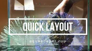 Quick Layout【アクアリウムレイアウト集】Aquascape#19