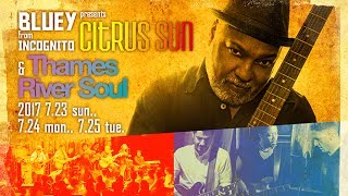 Bluey from INCOGNITO presents &quot;CITRUS SUN &amp; THAMES RIVER SOUL&quot; : BLUE NOTE TOKYO 2017 trailer