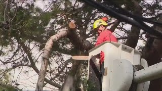 Crews continue cleanup after SoCal storms