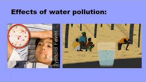 Metropolitan School Week 3 Class 4 Science Lesson