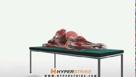 Exercise Videos- Dumbbell Shoulder External Rotation -- Side Lying