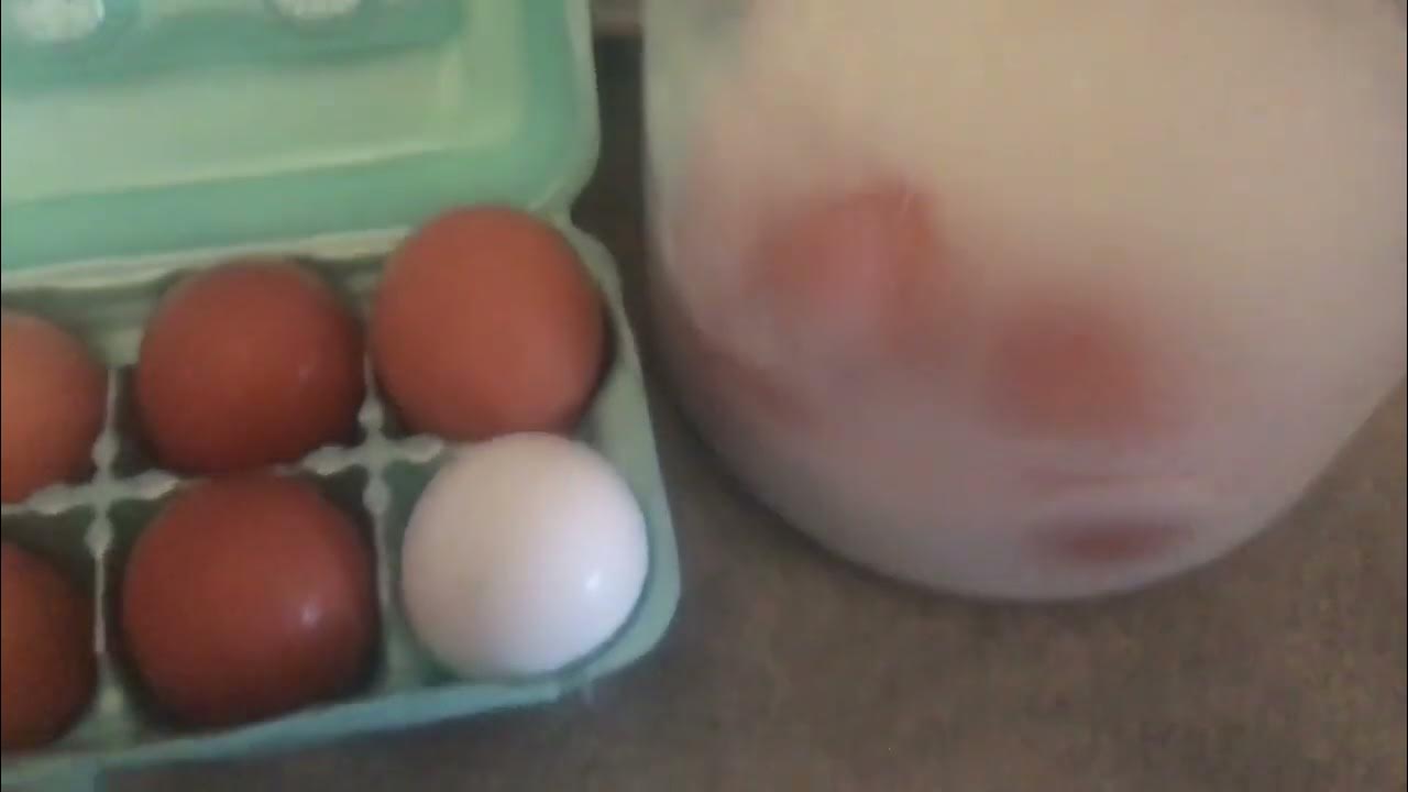 Farm Fresh Eggs Unwashed/ Storing everybitcountschallenge YouTube