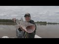 HERMOSA PESCA DE DORADOS Y SURUBIES EN EL RIO PARANÁ - ESQUINA - PROVINCIA DE CORRIENTES